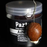 Pazte